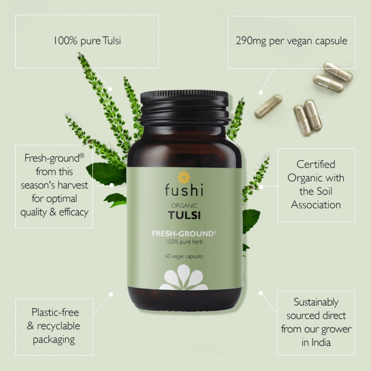 Organic Tulsi (Holy Basil) 60 vegan capsules - Image 2