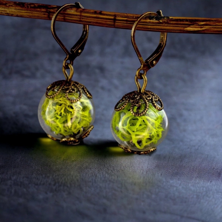 Real Moss Earrings - Green Iceland Moss Plant Earrings